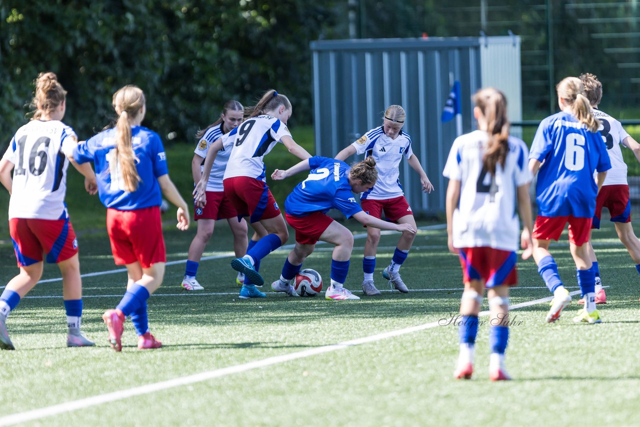 Bild 229 - wCJ Hamburger SV - FC Rosengarten : Ergebnis: 1:1